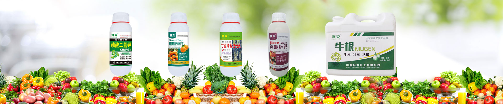 山西台达化工有限公司